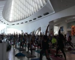 Yoga @ the Museum